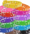 Collar for cats with safety buckle 19-32cm